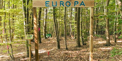 Parcours - Einschussplatz - Weltreise: Europa - Bogenparcours Scheiblingstein
