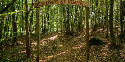 Parcours - Schussdistanz: nah bis weit gestellt - Zauberwald: Erkundet das Königreich des Löwen. - Bogenparcours Scheiblingstein