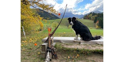 Parcours - Österreich - 3D Bogensport Puchberg