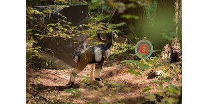 Parcours - Targets: 3D Tiere - 3D-Bogenparcours in Lackenhof am Ötscher