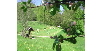 Parcours - erlaubte Bögen: Traditionelle Bögen - Bogensport Schneeberger