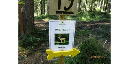 Parcours - Tiroler Unterland - Weberbauer's Bogenparcours