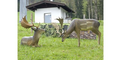 Parcours - Tiroler Unterland - Bogenparcours Penzing