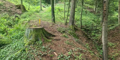 Parcours - Oberösterreich - Stay Wild  Parcours Ziel 16 - BSC- Strudengau 