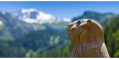Parcours - Tiroler Unterland - Bogenparcours Hintertux