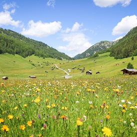 Urlaub & Essen: Wanderparadies Pfundser Tschey mit seinen unzähligen Heustadeln. - Ferienregion Tiroler Oberland