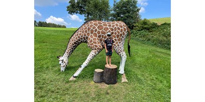 Parcours - Parkplatz: direkt beim Parcours - Giraffe lebensgroß  - Bogensport Bad Zell